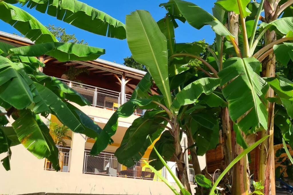 Bas De Villa Piscine Petit Versailles Sainte Anne Exterior foto